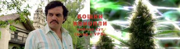 ECSTASY Баксан