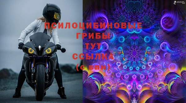 spice Белокуриха