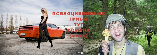 spice Белокуриха