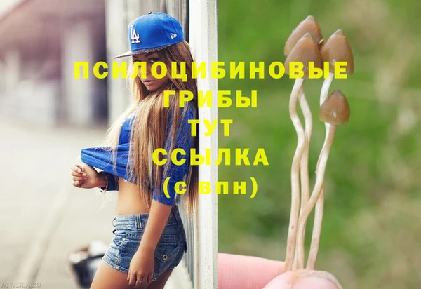 дживик Белоозёрский
