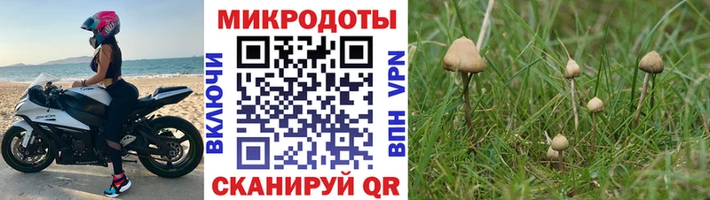 Псилоцибиновые грибы Magic Shrooms  мега маркетплейс  Менделеевск 